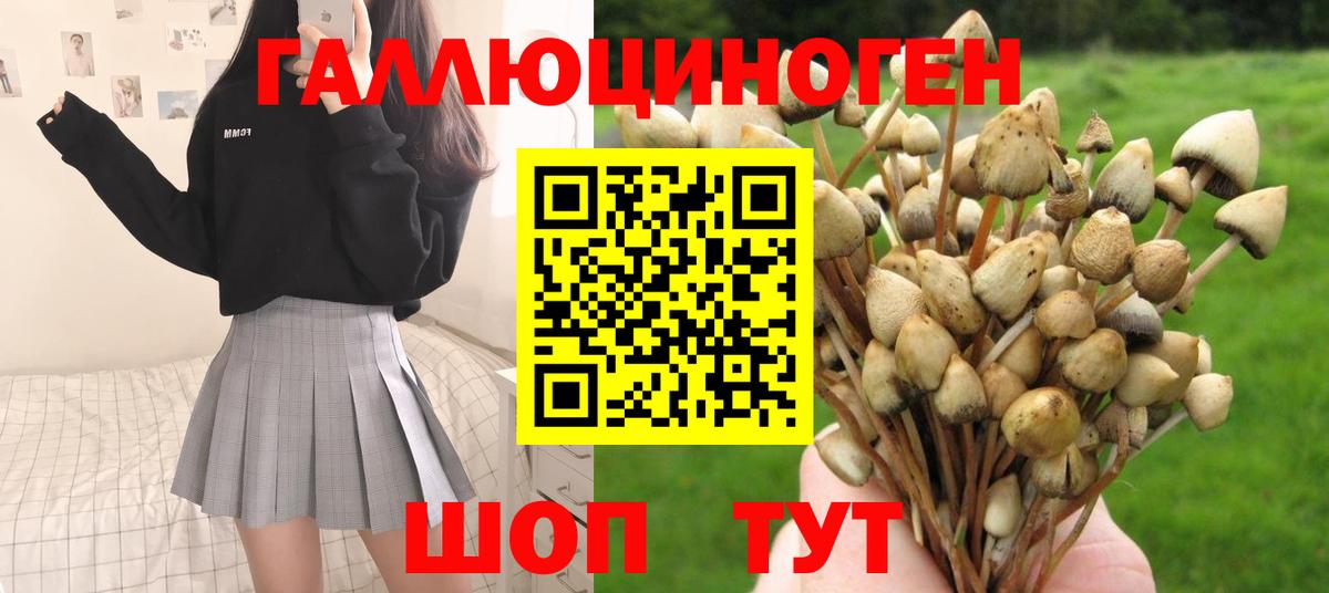 Заволжье  где купить наркоту  Галлюциногенные грибы мухоморы  Вход с VPN  Псилоцибиновые грибы GOLDEN TEACHER 